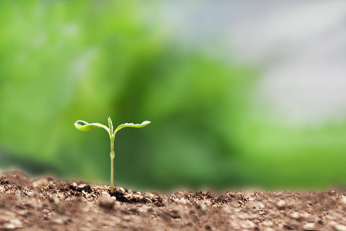 福島県の未利用木材を活用した、復興支援の取り組みについて